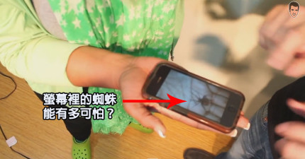 iPhone蜘蛛惡作劇